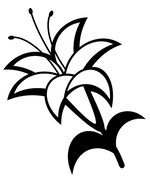 Click for high resolution graphic.