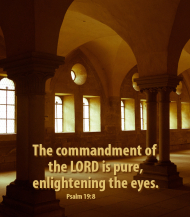 Click for high resolution graphic.