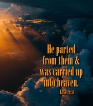 Click for high resolution graphic.