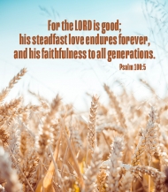 Click for high resolution graphic.