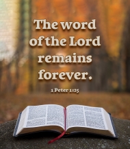 Click for high resolution graphic.
