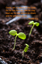 Click for high resolution graphic.