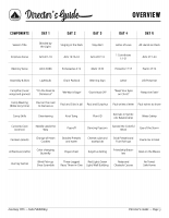 Journey VBS - Adventures of Paul (Director's Guide)